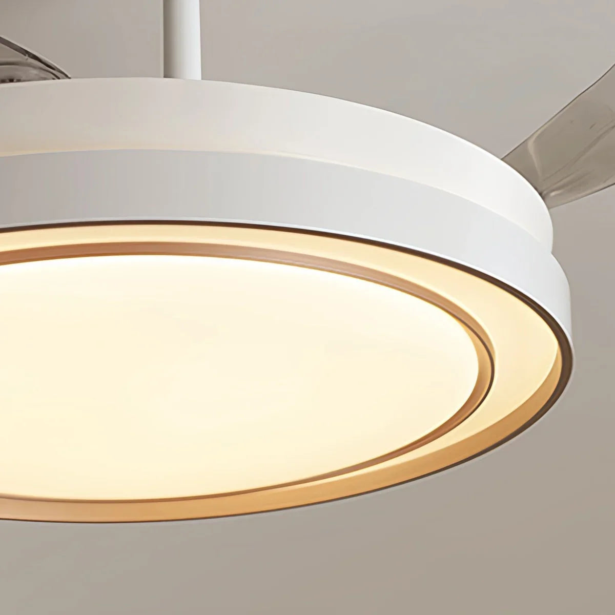 flairel Modern Round Ceiling Fan Light with Remote Control
