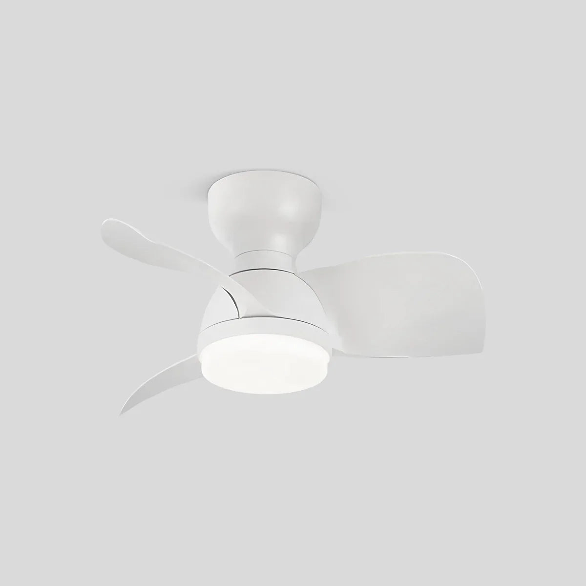 flairel Small Flush Mount Ceiling Fan with Light