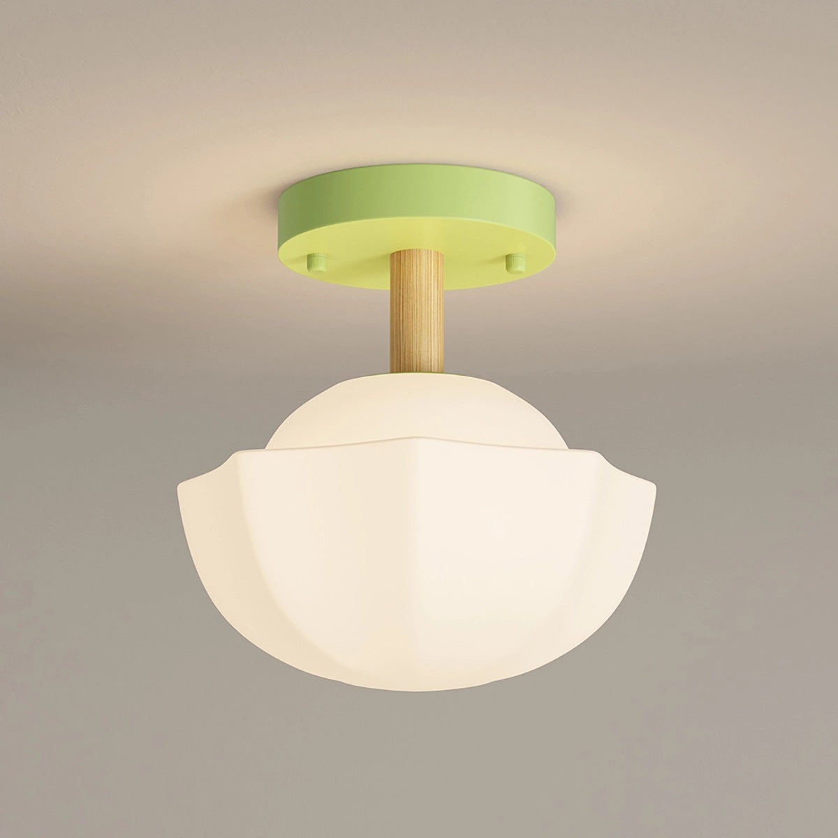 flairel Creative Pastoral Style LED Ceiling Light